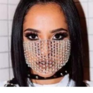 Silver Bling Face Net